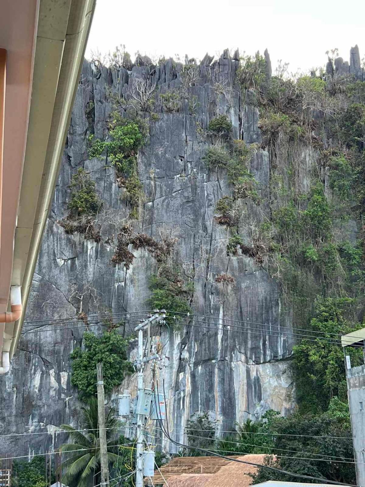 Vencejos Inn - El Nido Exterior photo